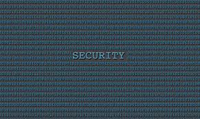 Citizen Developers and Cyber Security Risks